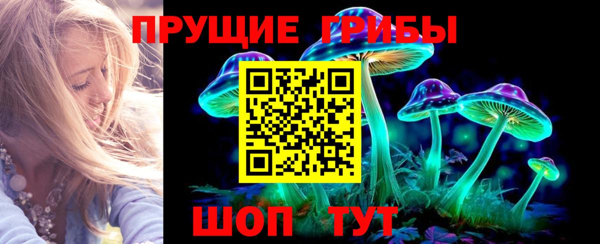 Псилоцибиновые грибы мицелий Надым